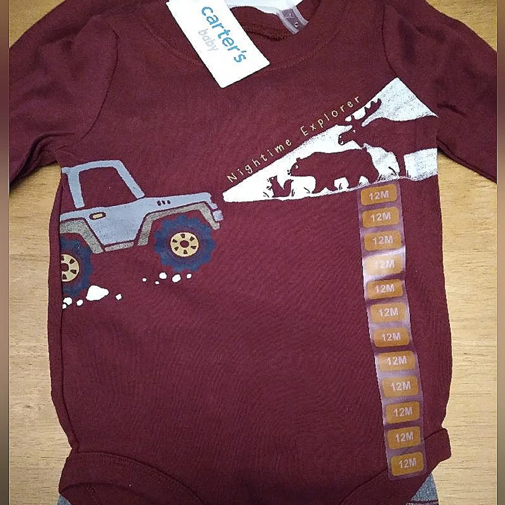 Carter's Baby 4 Piece Set (12m) NWT